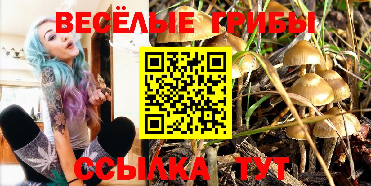 дарнет шоп  Вход с VPN  Оренбург  Псилоцибиновые грибы Cubensis 